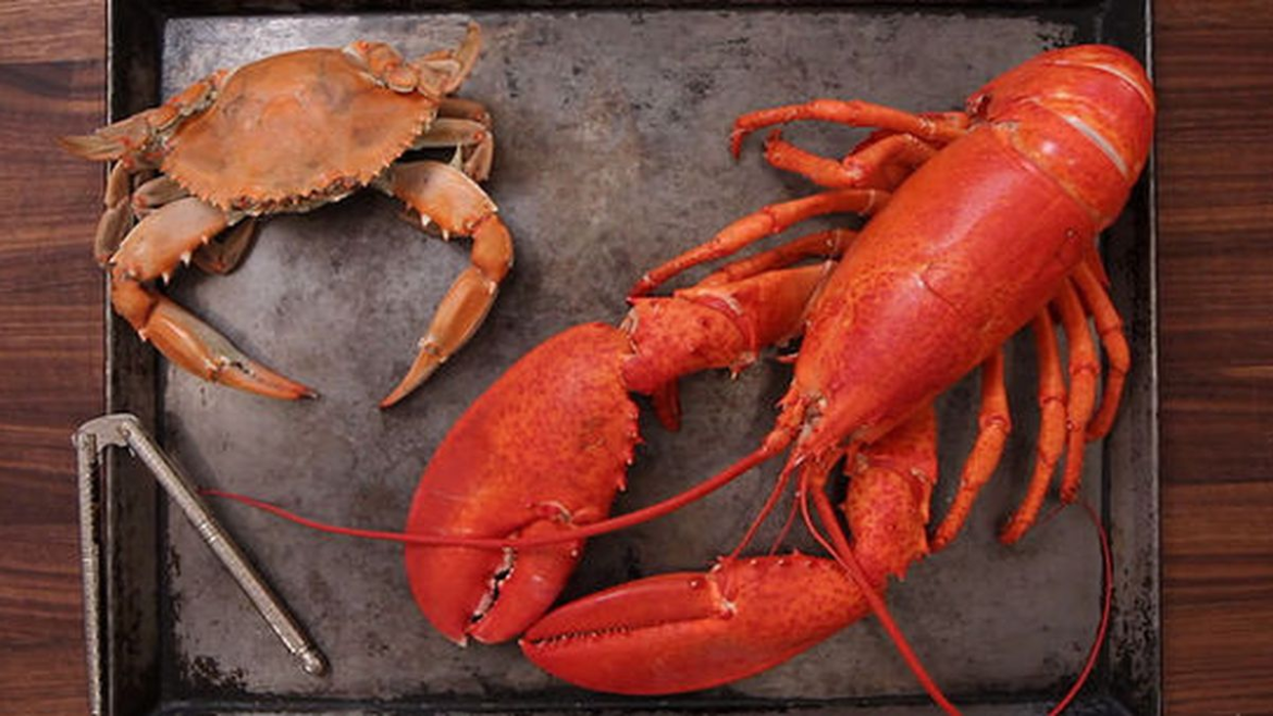 The Difference Between Crab and Lobster