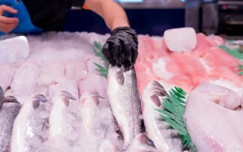 Exploring the Advantages of Local Fishmongers