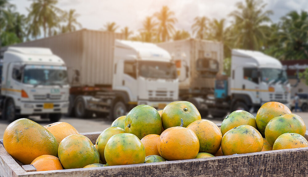 Sustainability Benefits of Using Refrigerated Couriers for Food Businesses