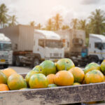 Sustainability Benefits of Using Refrigerated Couriers for Food Businesses